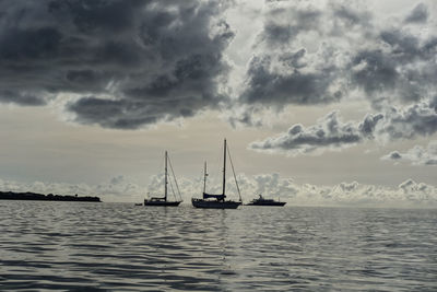 Sailboats sailing in sea against sky