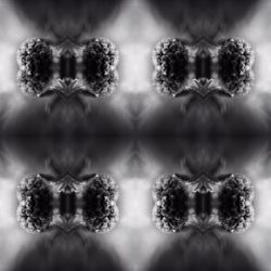 Digital composite image of food