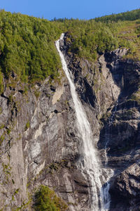 Scenic view of waterfall in forest