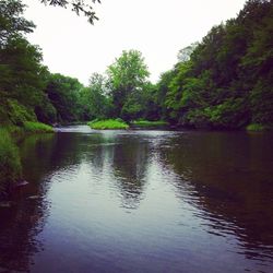 Scenic view of lake with trees in background