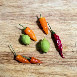 High angle view of vegetables on cutting board