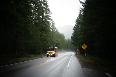 View of school bus driving along treelined road