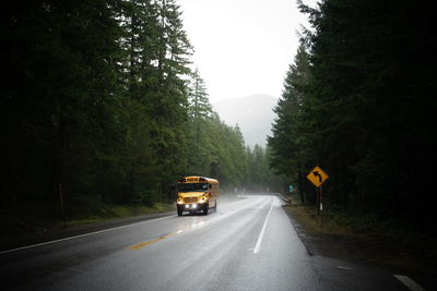Road passing through trees