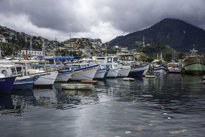 Boats in marina