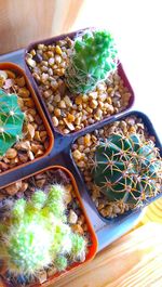 High angle view of food