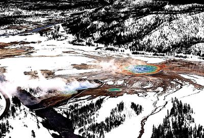 Sun shining through trees