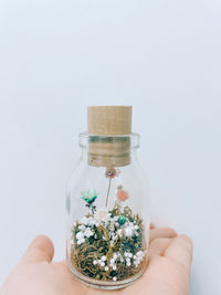 Close-up of hand holding jar against white background