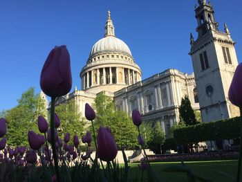 Panoramic view of building against blue sky