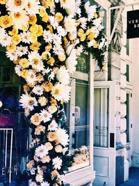 Flowers on window of building