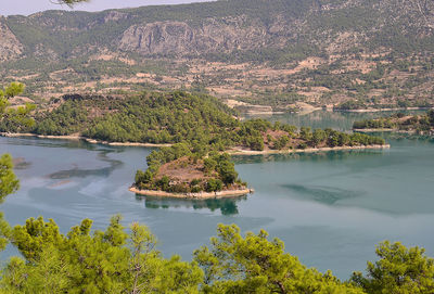 High angle view of lake by trees