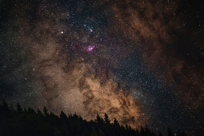 Low angle view of fireworks against sky at night