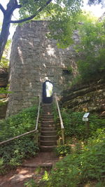 Rear view of person on staircase in forest