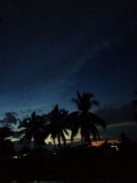 Silhouette palm trees on beach against sky at night