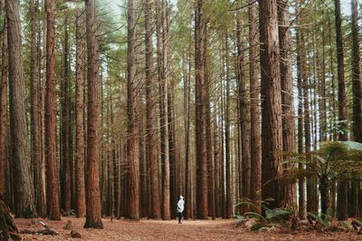 Man standing in forest