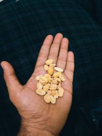 High angle view of hand holding peanuts