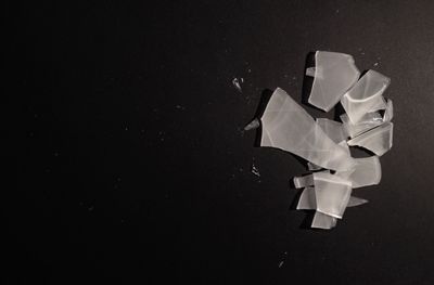 paper