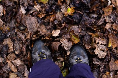 Low section of man standing on autumn leaves