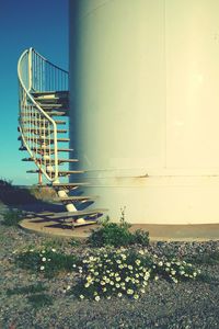 Plants by railing and building against sky