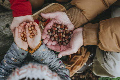 Grandparents and granddaughter holding hazelnuts in hand