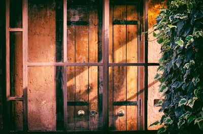 Closed wooden door of house