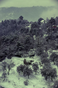 Scenic view of landscape against sky during winter