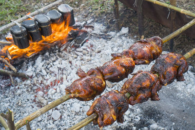 High angle view of crab on barbecue grill