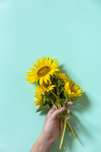 Close-up of hand holding yellow flower against white background