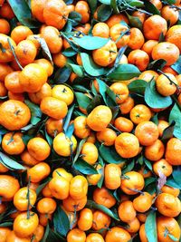 Full frame shot of fruits for sale in market