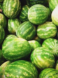 Close-up of watermelons for sale