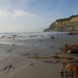 Scenic view of beach against sky