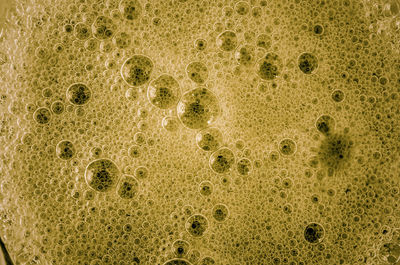 Detail shot of bubbles