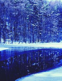 Scenic view of snow covered landscape