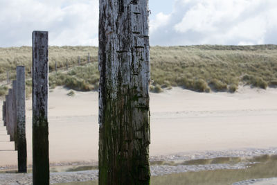 Wooden posts on field against sky