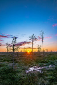 Scenic view of field against sky during sunset