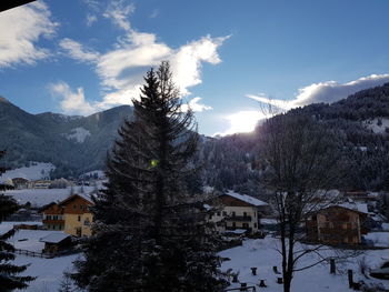 Trees and houses against sky during winter