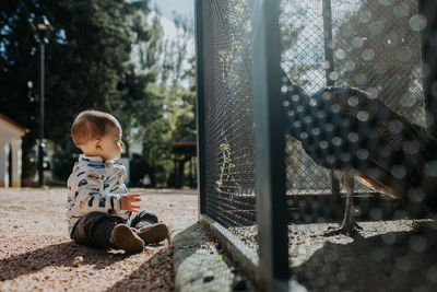 Child looking at peacock