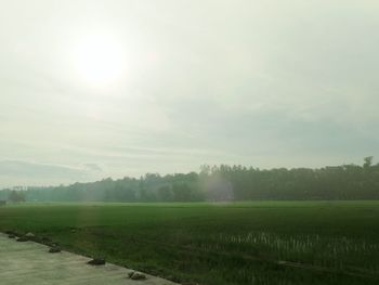 Scenic view of grassy field against sky