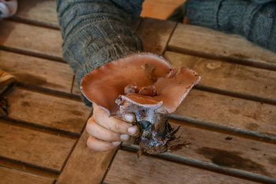 High angle view of person preparing food on table