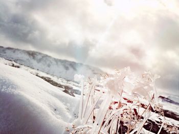 Scenic view of snow covered mountains against sky