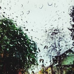 Close-up of water drops on glass