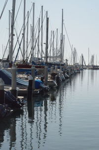 Sailboats moored in harbor against clear sky