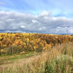 Scenic view of field against sky