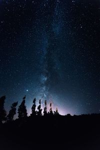 Low angle view of silhouette trees against sky at night