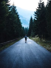 Rear view of man walking on road amidst trees