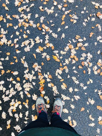 Low section of person standing on autumn leaves