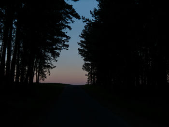 Silhouette trees against sky during sunset