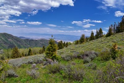 Rocky mountain wasatch front butterfield canyon oquirrh mountains utah, united states.