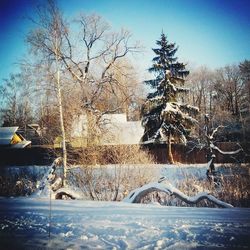 Snow covered landscape