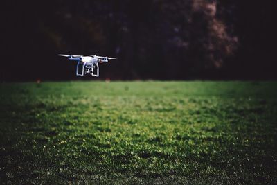 Close-up of drone in garden
