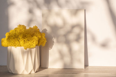 Close-up of yellow flower on table